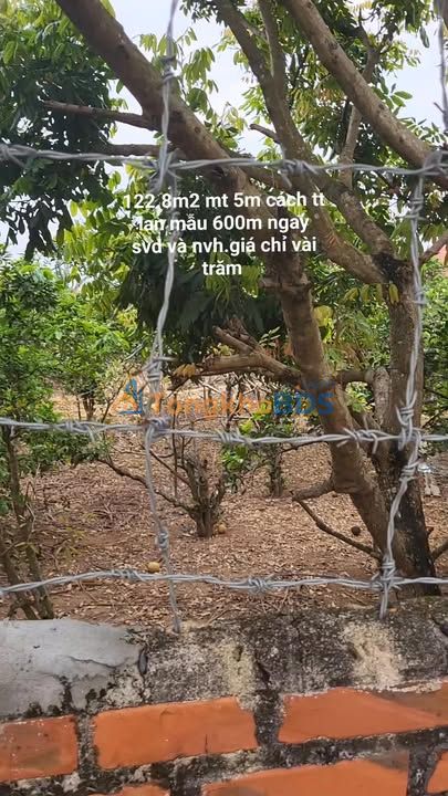 Đất Vàng 122.8m² Lạc Vệ, Tiên Du, Bắc Ninh - Sẵn Sổ, Gần KCN