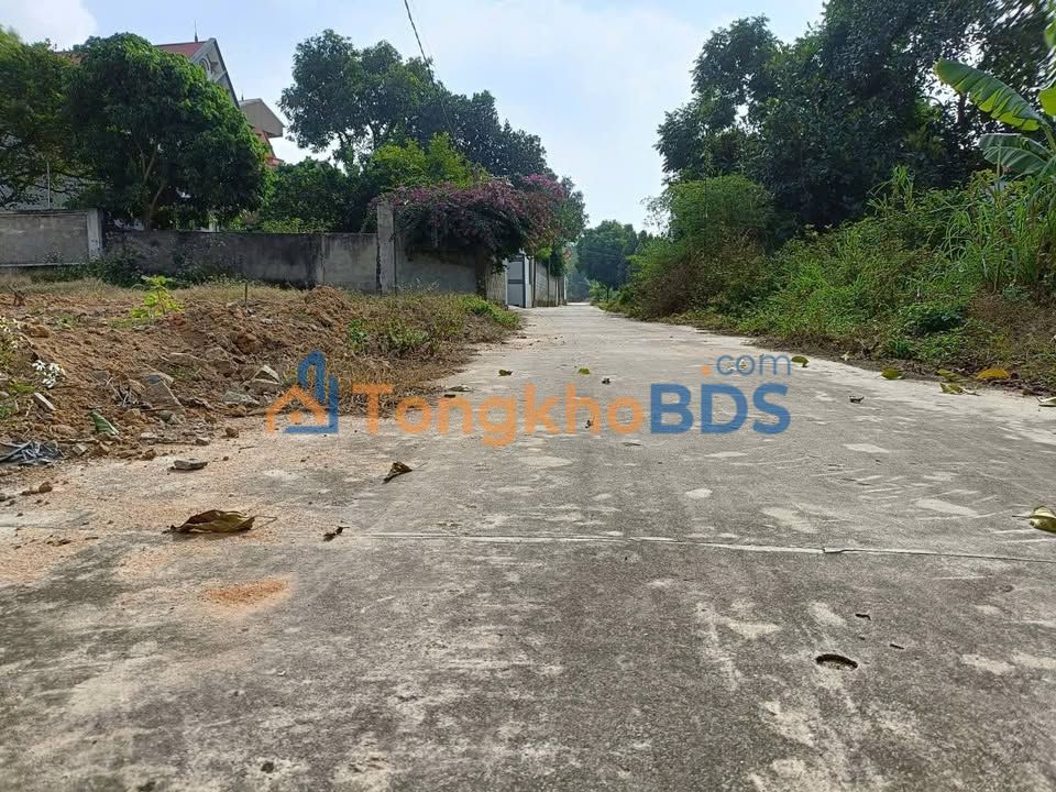 Bán Đất Vàng 660m² Phường Võ Cường, Bắc Ninh - Sẵn Sàng Xây Dựng