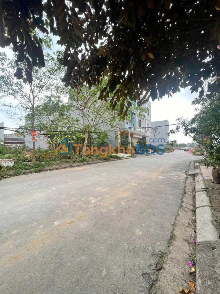 Đất nền Đại Phúc, Bắc Ninh 76.5m² - Đường 3 ô tô, Vỉa hè 4m - Giá tốt đầu tư