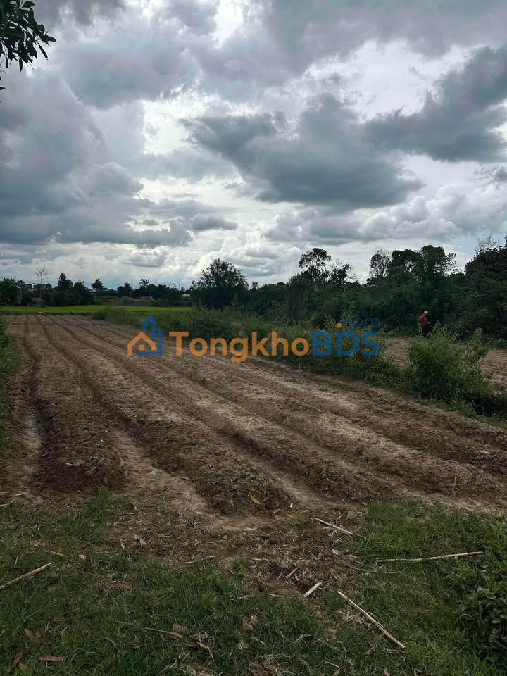 Bán Đất N'Thôn Hạ Đức Trọng 720m² Sổ Sẵn 800 Triệu