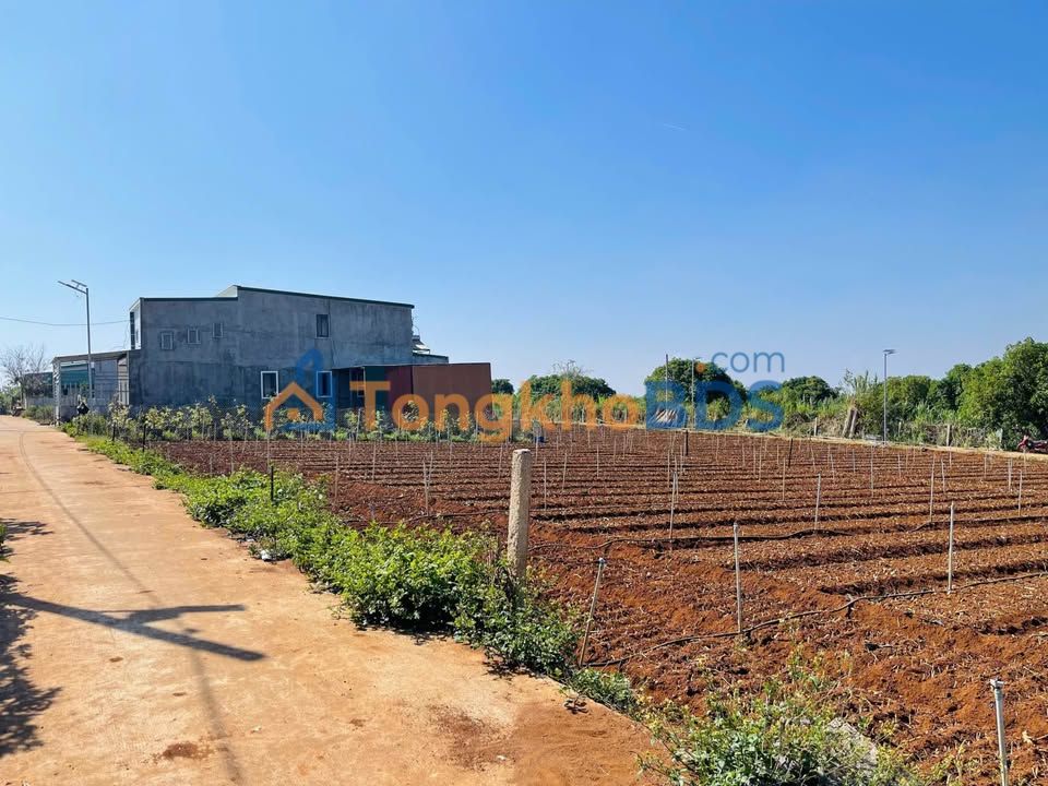 Bán Đất Liên Hiệp Đức Trọng 107m² Sổ Đỏ Sẵn Sàng - Gần Sân Bay Liên Khương