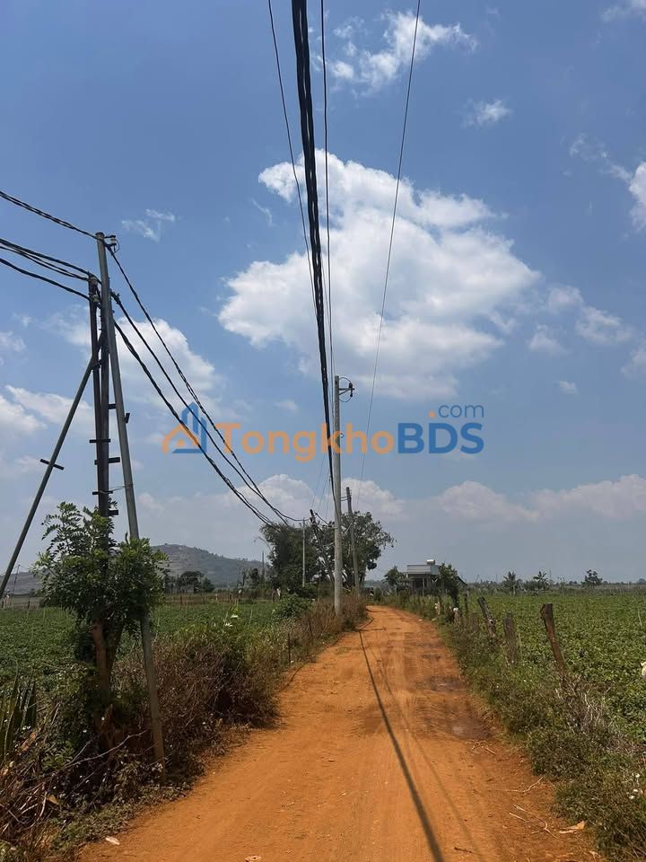 Bán Đất Đà Lạt 18000m² Bám 2 Mặt Tiền Đường - Sổ Đỏ