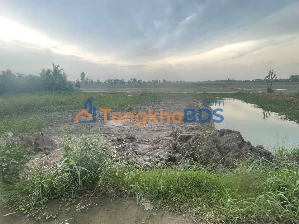 Đất Thổ Cư 200m² Giá Chỉ Từ 2xx Triệu - Xã Tân Nghĩa, Đồng Tháp