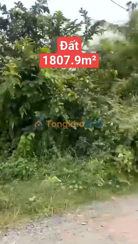 Đất Mặt Tiền Huỳnh Thị Ba Q12 - 1920m² - 11 Tỷ - Cơ Hội Đầu Tư Vàng