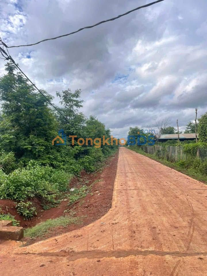 Đất nền Hòa Khánh Buôn Ma Thuột 550 triệu - Sổ đỏ chính chủ