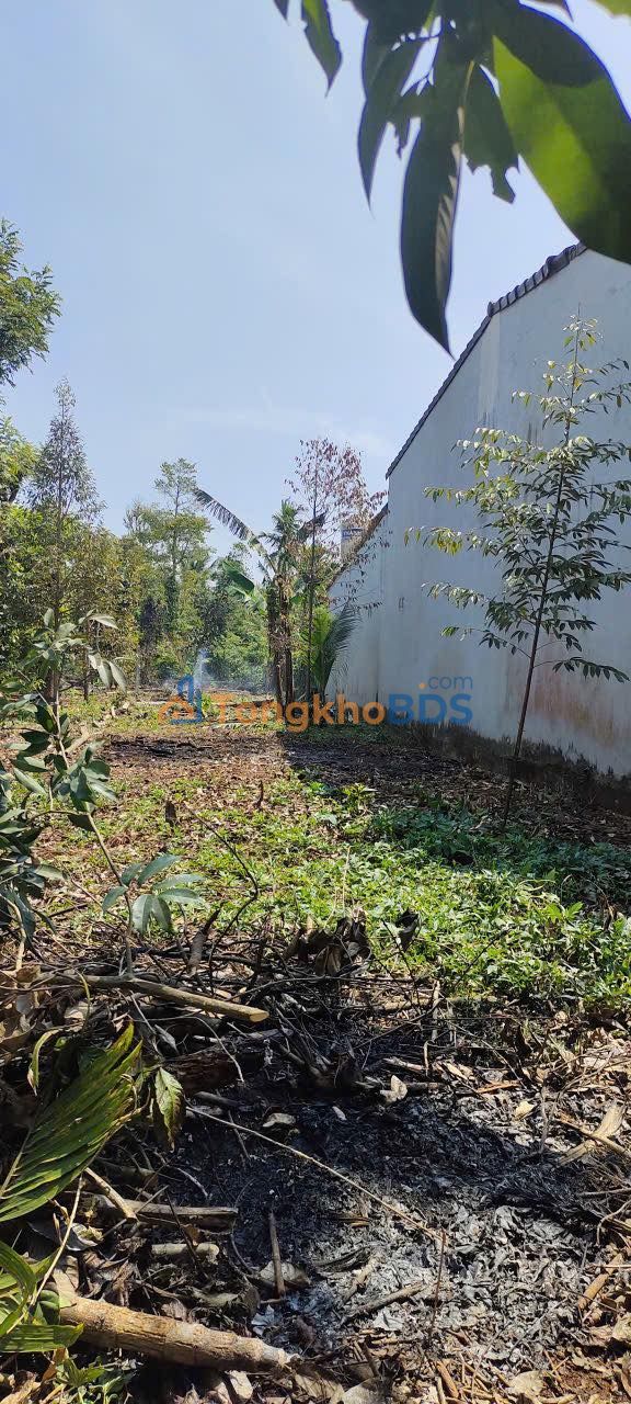 Bán Đất Đường D4 BMT 342m² (6x57m) - 2.7 Tỷ, Sổ Đỏ TC60