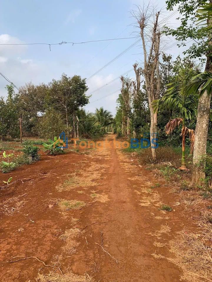 Đất nền Quảng Phú, Cư M'gar - 125m² - Sổ đỏ TCCC - Giá tốt đầu tư