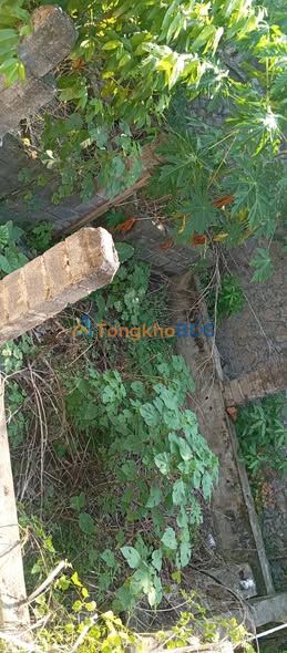 Bán Nhà 2 Tầng Phú Thứ, Kinh Môn 200m² - Giá Chỉ Hơn 1 Tỷ