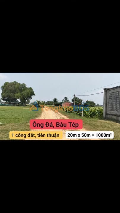 Bán Đất Vườn 1000m² Bến Cầu, Tây Ninh - Giá Tốt Đầu Tư