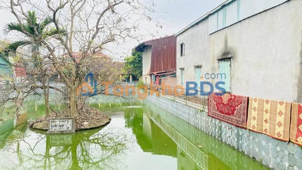 Đất Phù Khê Từ Sơn 134m² - Sổ Đỏ Full Thổ Cư, View Hồ Điều Hòa
