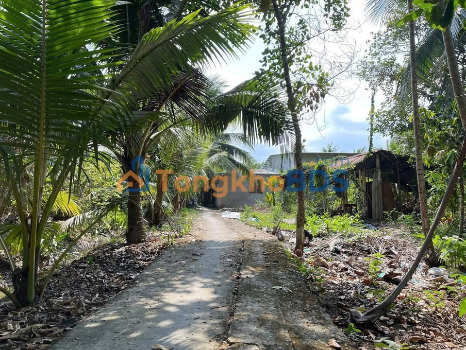 Đất nền Long Hưng Châu Thành 676m² 590 triệu - Sổ đỏ