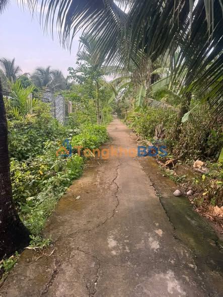 Đất Nền Châu Thành, Tiền Giang 68m² - Thổ Cư 100%, Giá 360 Triệu