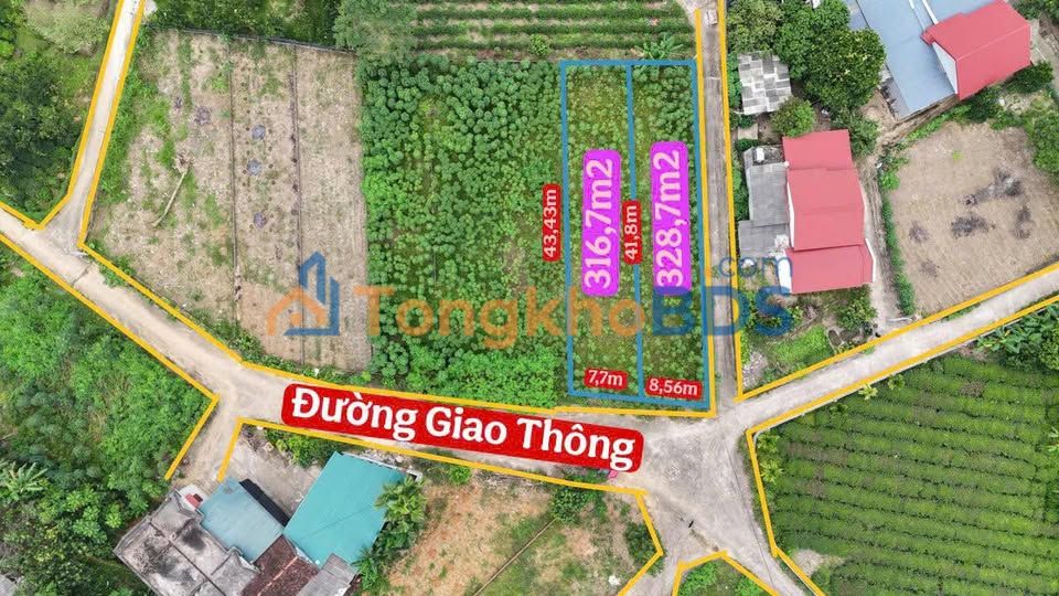 Bán Đất Nền 328m² Xã Võ Miếu, Phú Thọ - Sổ Đỏ Vuông Vắn, Giá Đầu Tư