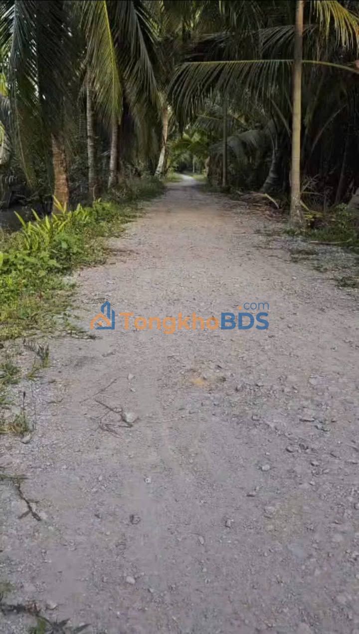 Đất vườn Long Mỹ Giồng Trôm 2.900m² 770 triệu - An yên tĩnh lặng