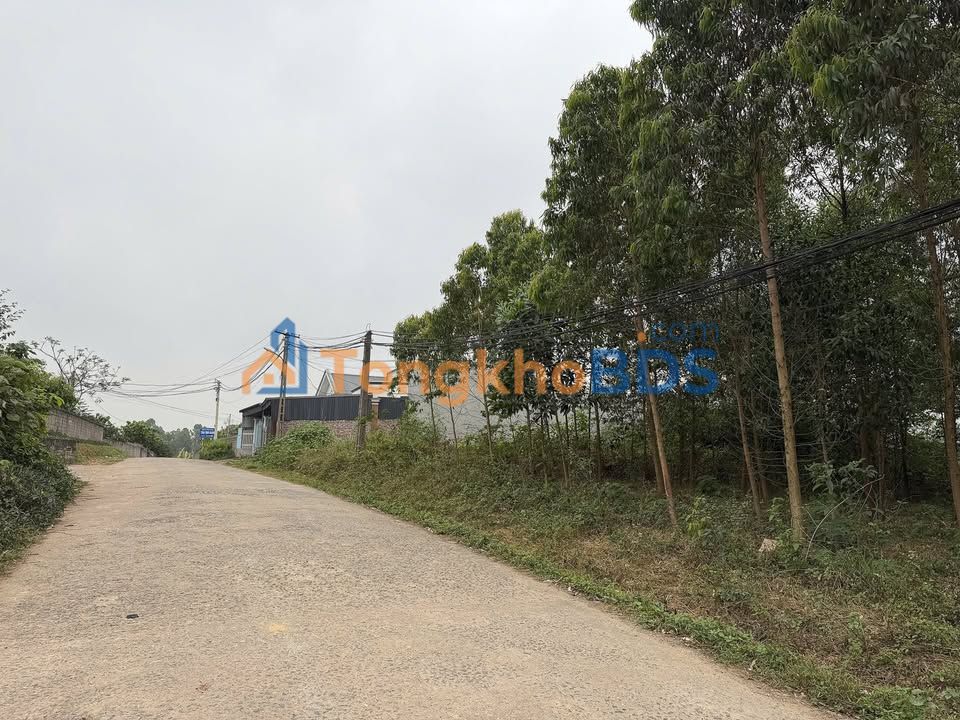 Bán đất nền 138m² mặt tiền 5.5m tại Lâm Thao, Phú Thọ - Sổ đỏ sẵn sàng