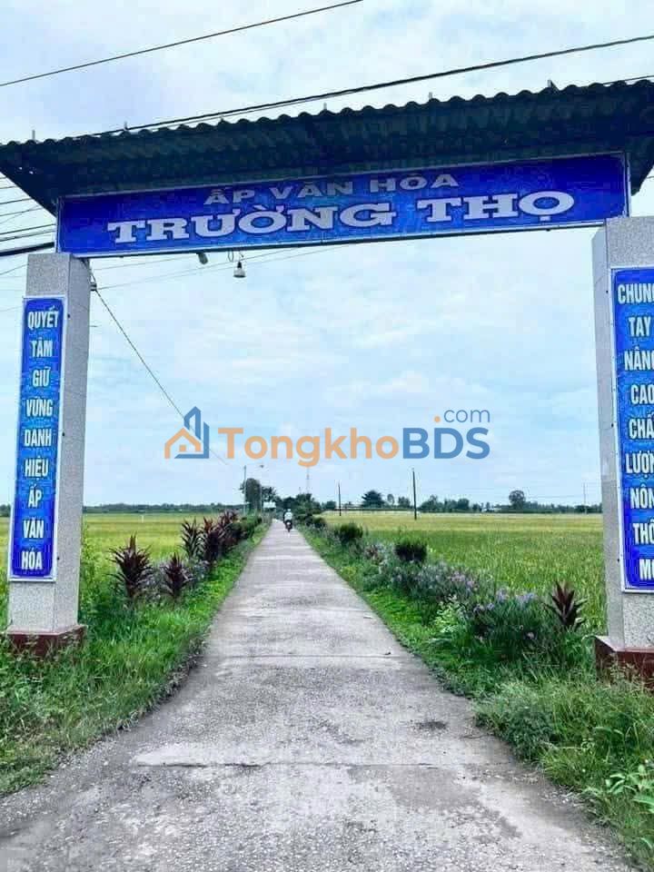 Bán Nền Mặt Tiền Đường Trường Thọ, TP Sóc Trăng - 140m² Giá 300 Triệu