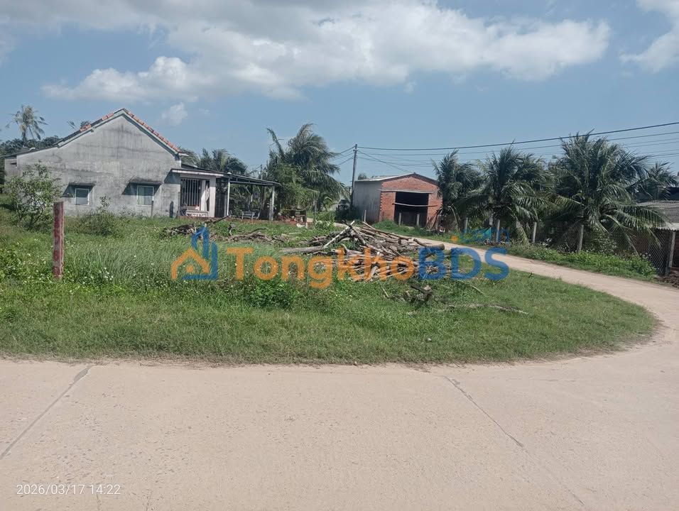 Đất nền Phù Cát Bình Định 200m² giá thỏa thuận - Đất thổ cư 100%