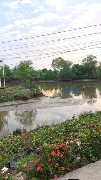 Bán Đất Vườn 1500m² Gần Chợ Hội Xuân, Tiền Giang - Sổ Đỏ Sẵn Sàng