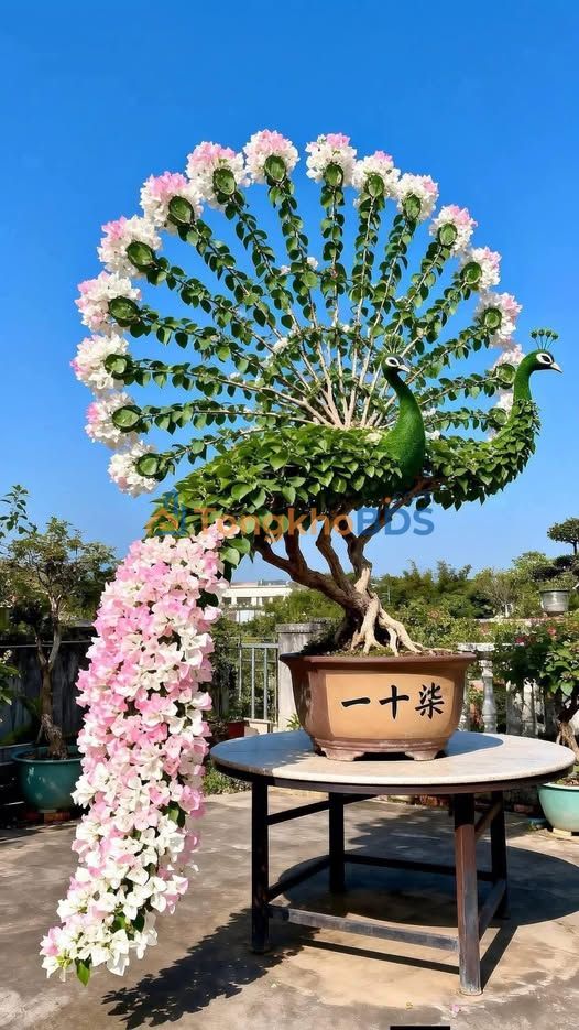 Nhà Cấp 4 Mỹ Hưng - Sát QL50, 95m², 2PN, Giá 2.5 Triệu/Tháng