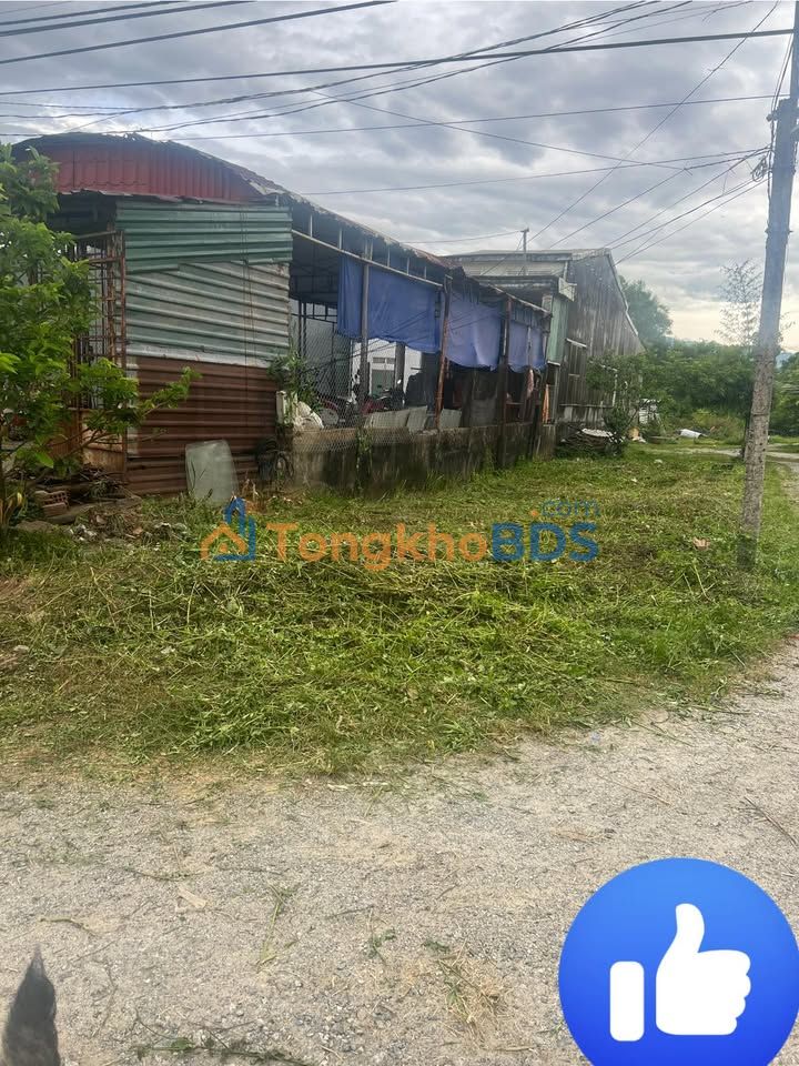 Đất thổ cư Khối 5 Tam Hiệp 100m² 8xx triệu - Sổ đỏ