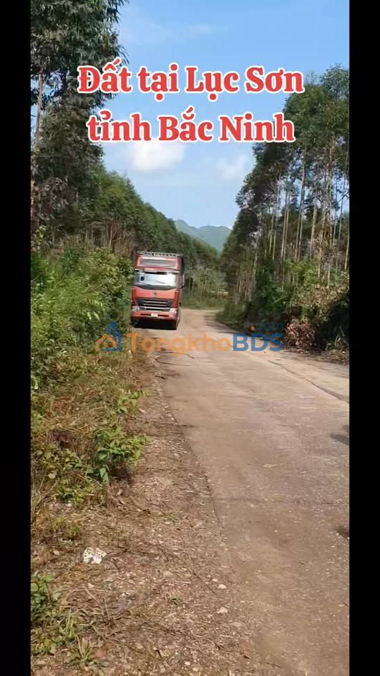 Đất Vườn Việt Yên 7000m² - Sẵn Thổ Cư, Giá Rẻ Hơn Ruộng