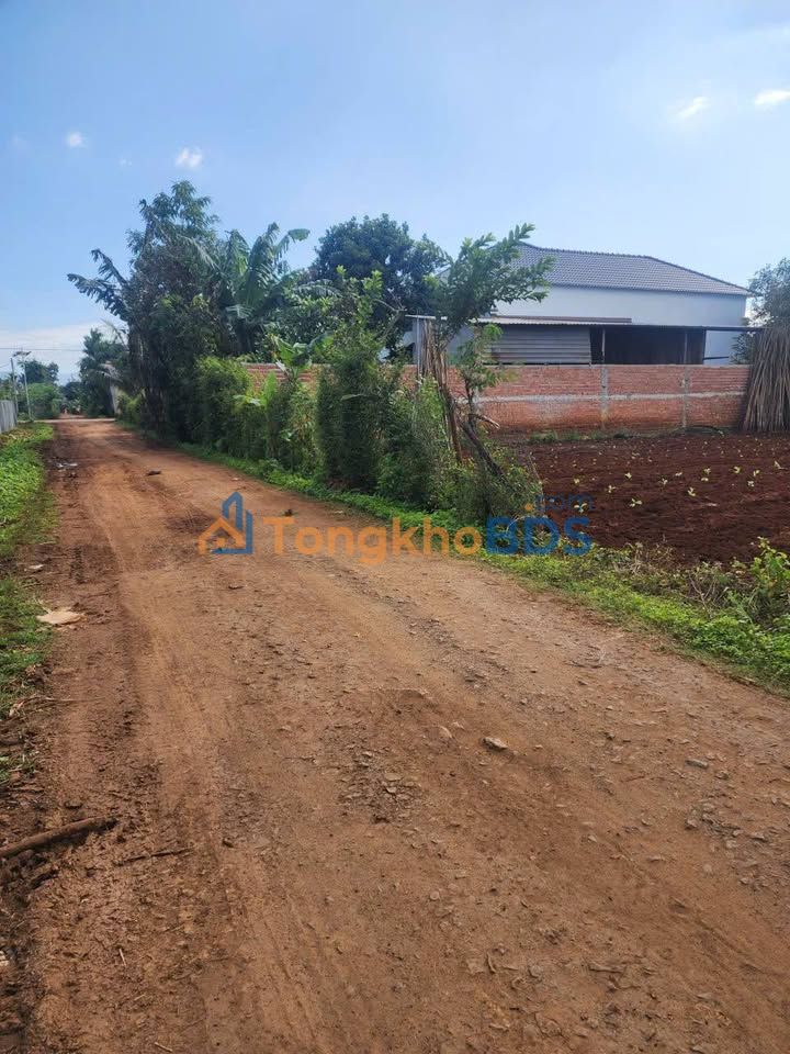 Đất Buôn Hồ Đắk Lắk 960m² - Sổ Đỏ Thổ Cư, Gần Tỉnh Lộ 10