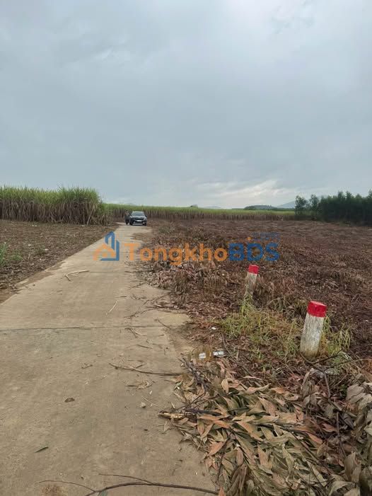 Đất nền Diên Lâm, Diên Khánh 768m² 320 triệu - Tiềm năng tăng giá