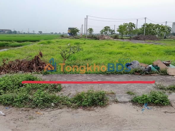 Đất đấu giá Rặng Sắn, Dân Hòa (Thanh Oai) 100m² - Sổ đỏ sẵn sàng