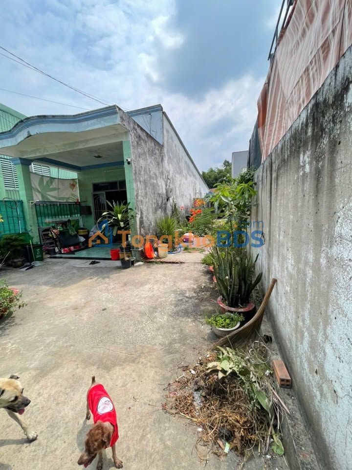 Bán Gấp Nhà Đất 202m² Hóc Môn - Hẻm Xe Hơi, Sổ Hồng Riêng