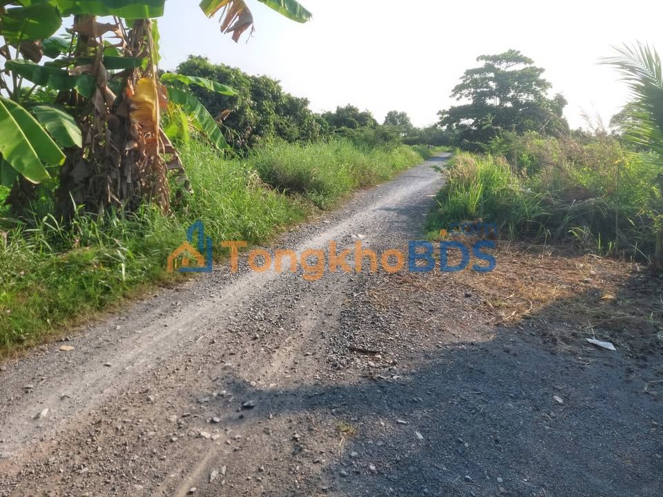 Đất Củ Chi 1871m² - Sổ Hồng Riêng, Giá Đầu Tư 8.5 Tỷ