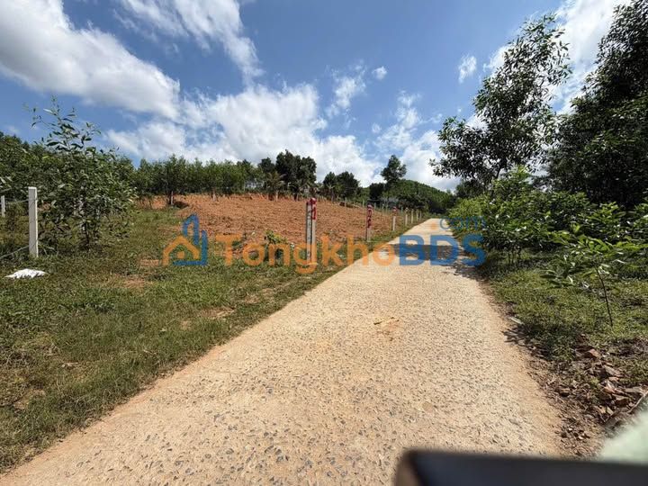 Đất nền Khánh Đông 122m² - Sổ đỏ thổ cư, cách TL8 chỉ 1km - 250 triệu