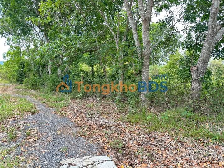 Bán Đất Vườn 20.000m² Xã Diên Sơn, Khánh Hòa - Lô Góc Thoáng Mát, Giá Đầu Tư 1.75 Tỷ