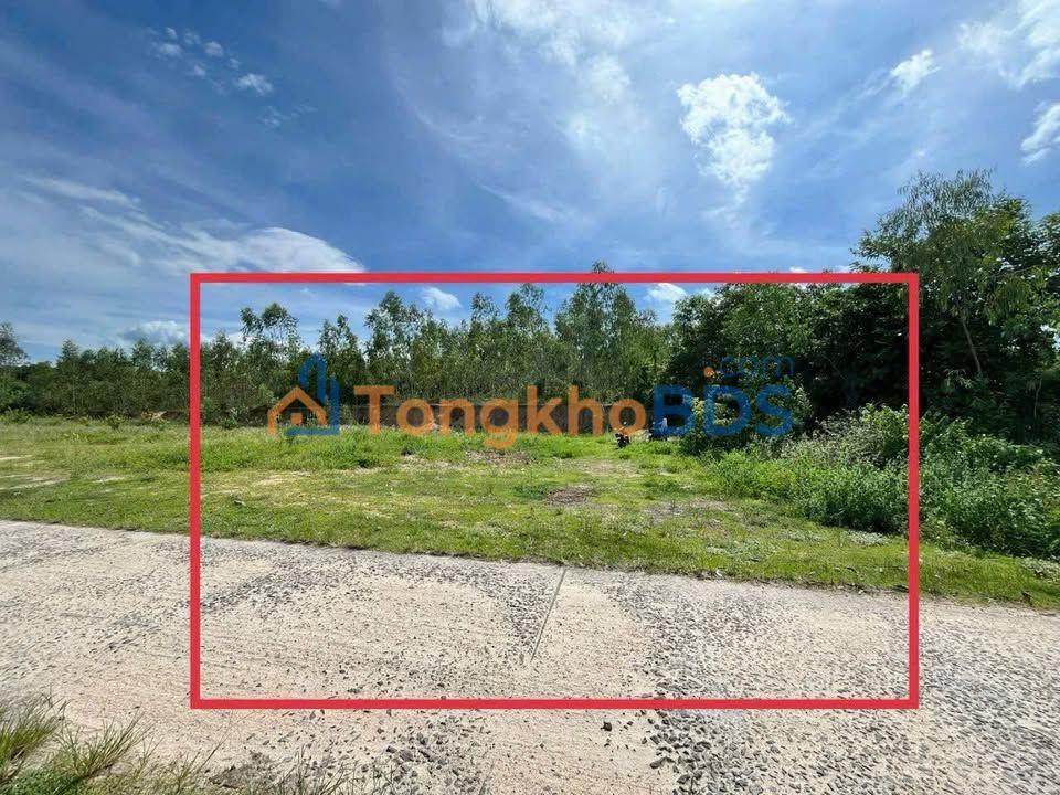 Đất Thổ Cư 240m² Phường Thuận Tây, Quy Nhơn - Giá Ngộp Chỉ Từ 2xx Triệu