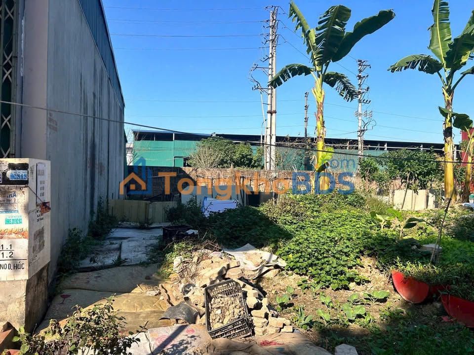 Bán Đất Vàng Dương Húc, Tiên Du 87.5m² - Kinh Doanh Sầm Uất, Sổ Hồng Sẵn Sàng