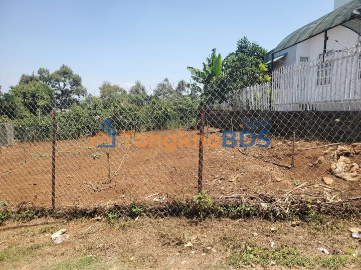 Bán Đất 133m² Hẻm Nguyễn Thị Minh Khai Di Linh - 1.1 Tỷ Sổ 70m² Thổ Cư