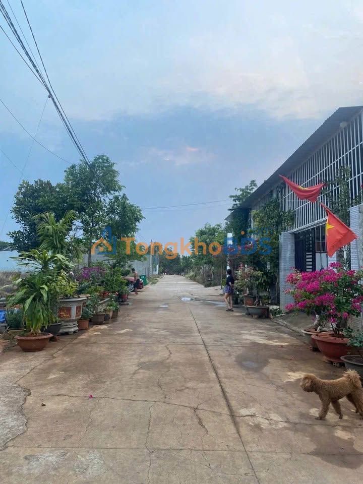 Đất Nền 165m² Thổ Cư Ngay Hẻm Võ Văn Kiệt, Đắk Lắk - Giá Tốt 1.47 Tỷ