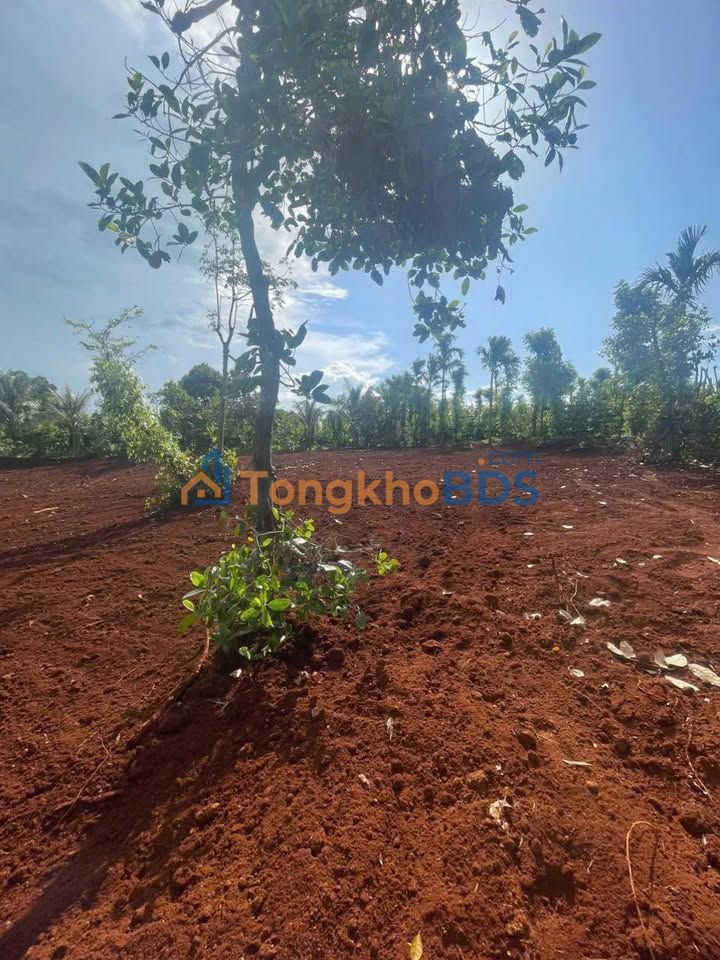 Bán Gấp Đất Vàng Cư Bua, Buôn Ma Thuột 3900m² - 2 Mặt Tiền Đường Ô Tô