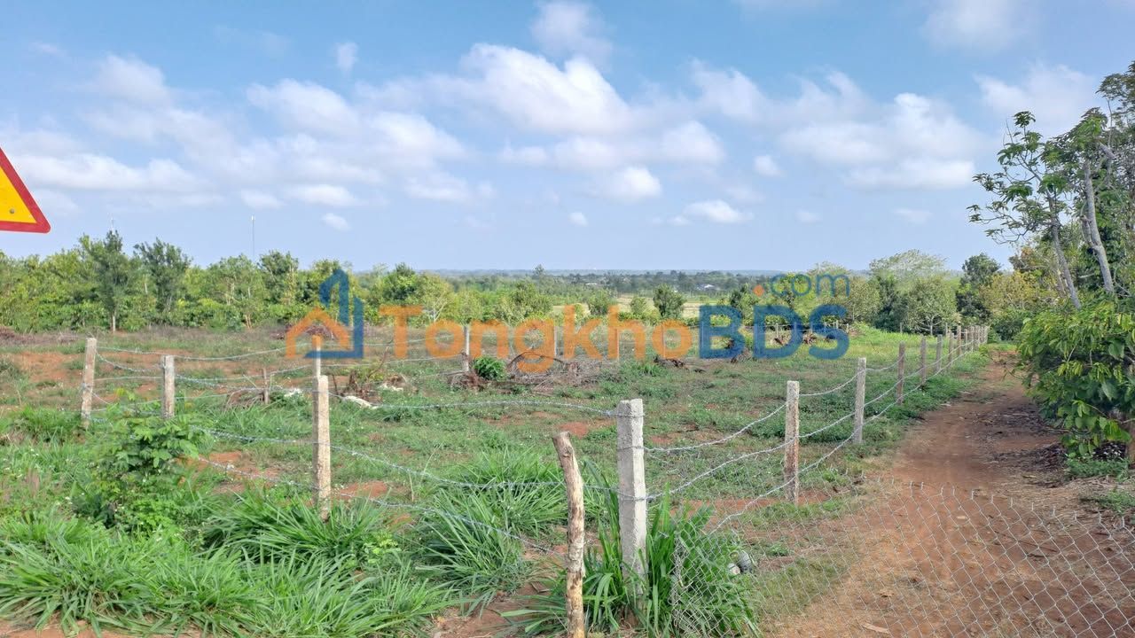 Đất Nền Mặt Tiền QL29 Ea Drông 600m² - Sổ Hồng Sẵn Sàng