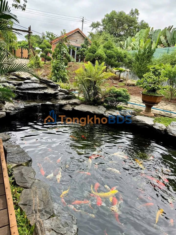 Cho Thuê Nhà Vườn 1200m² Đắk Lắk - Suối Chảy Quanh Năm, Lý Tưởng Kinh Doanh Homestay