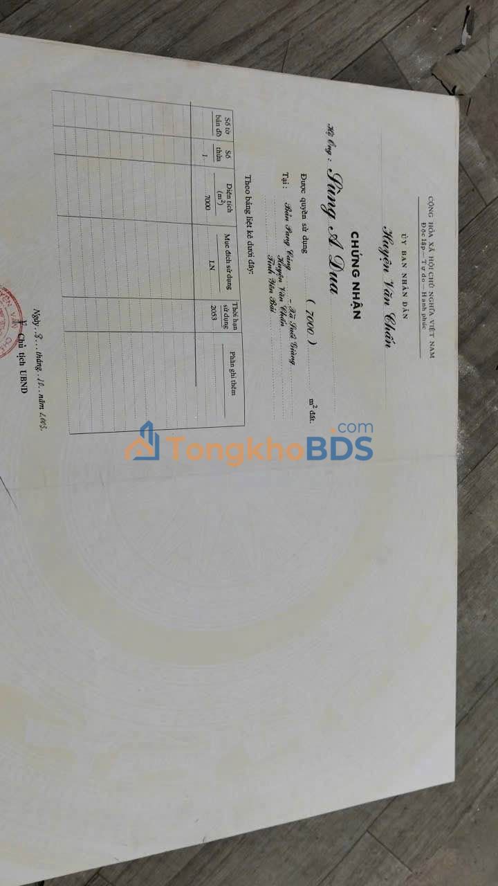 Đất Vườn Nghỉ Dưỡng 7000m² Suối Giàng - Săn Mây & Khí Hậu Lý Tưởng