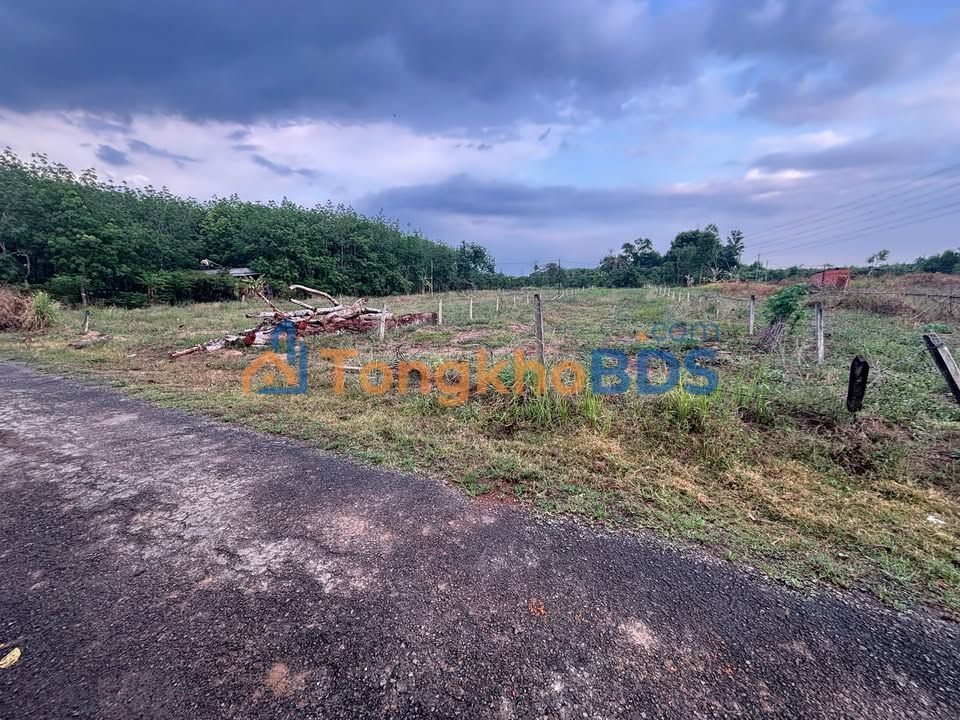 Đất Nền Nhơn Trạch Đồng Nai 360m² - Sổ Đỏ Thổ Cư 70% - Giá Cắt Lỗ 599 Triệu