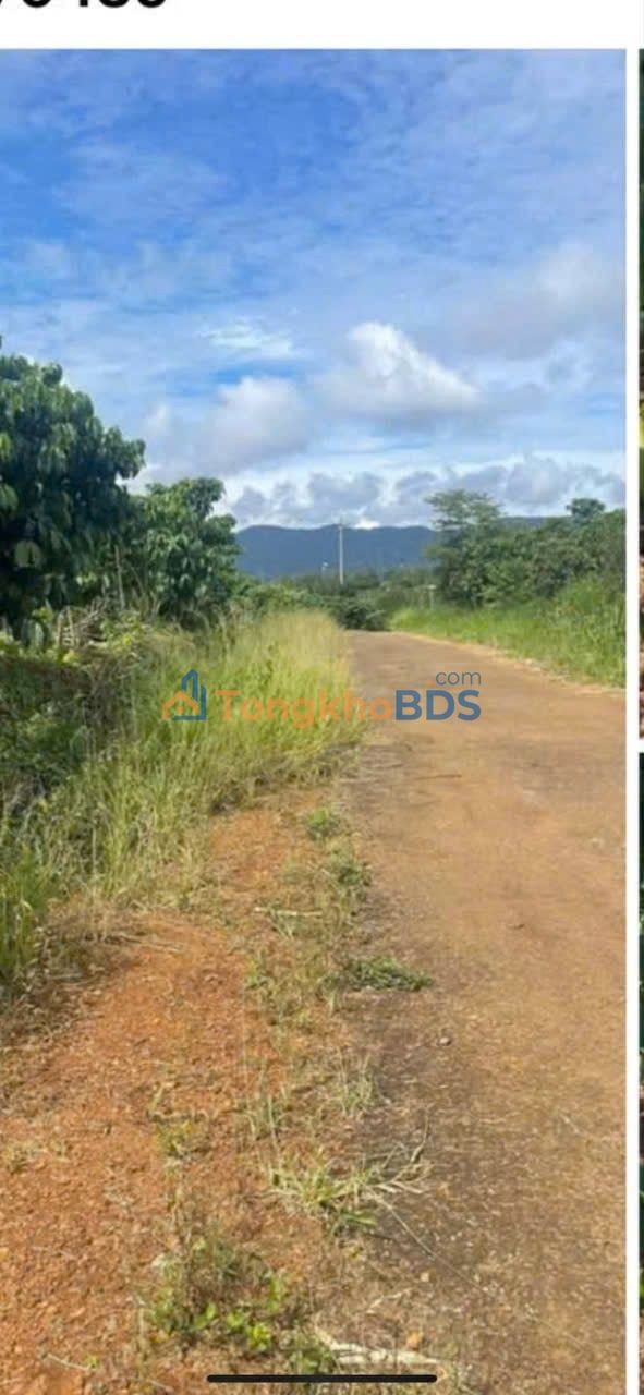 Đất Vườn Lâm Đồng 28800m² - 3 Tỷ, Mặt Tiền Nhựa Lộc Lâm