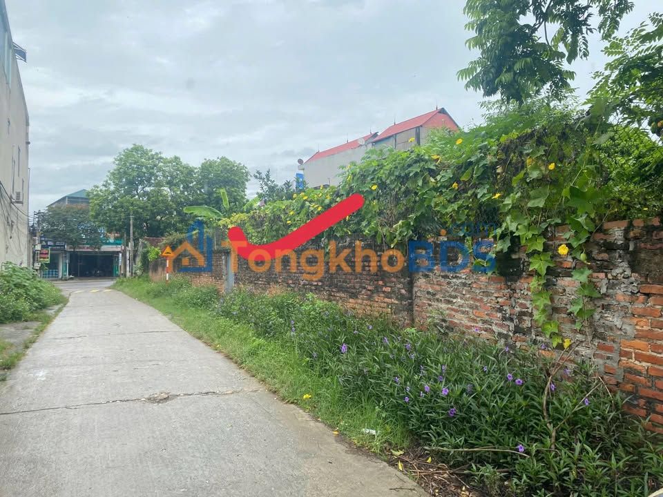 Đất nền 200m² Tỉnh Lộ 295, Bắc Ninh - Sổ đỏ, 3 tỷ xx, Vừa ở vừa kinh doanh