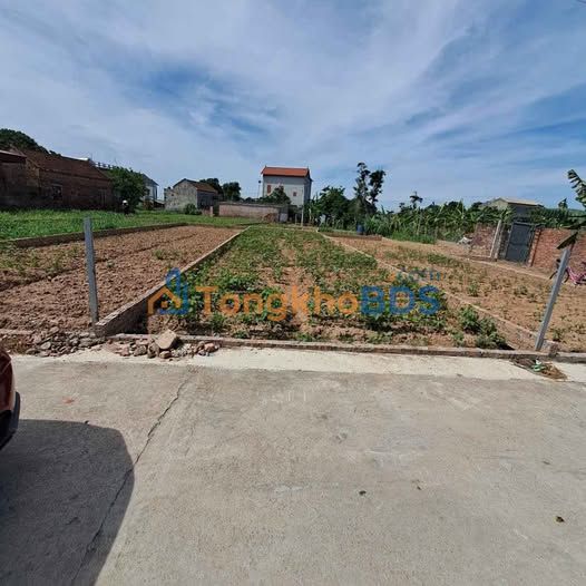 Đất Nền Lương Tài, Bắc Ninh 107m² - Lô Góc, Ô Tô Thông, Giá 1 Tỷ