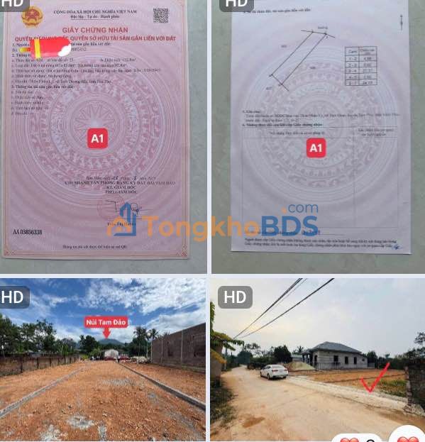 Đất nền Tam Đảo 133m² sổ đỏ - Sát TL302, gần Tây Thiên