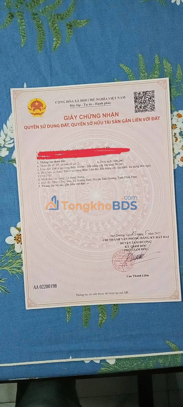 Đất Vĩnh Phúc 100m² Sổ Hồng - Đầu Tư Hời Ngay Gần TL 309