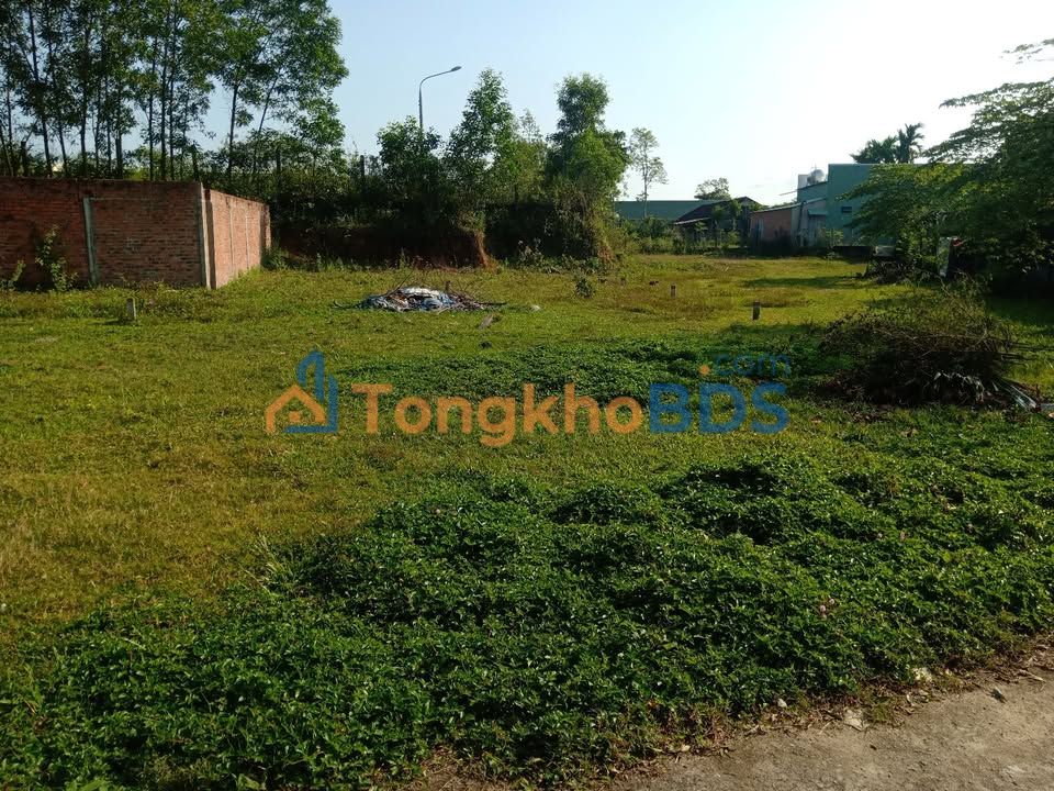 Đất Nền Phú Ninh 186m² - Sổ Đỏ Chính Chủ, Giá Tốt