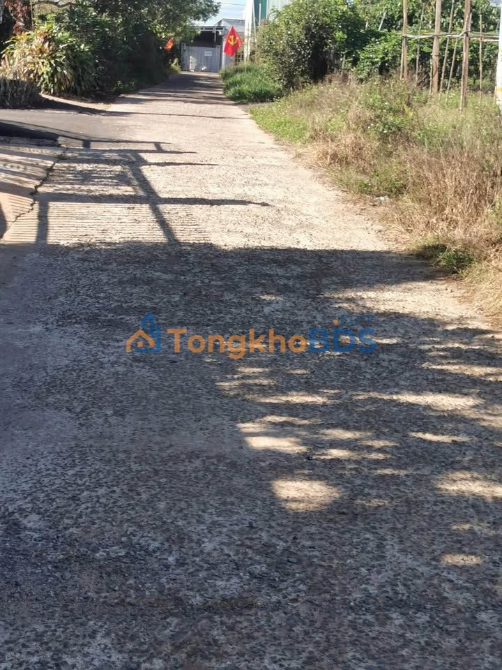 Đất Nền Hẻm 2 Lê Đại Hành Bảo Lâm 10.000m² - Sổ Hồng Thổ Cư