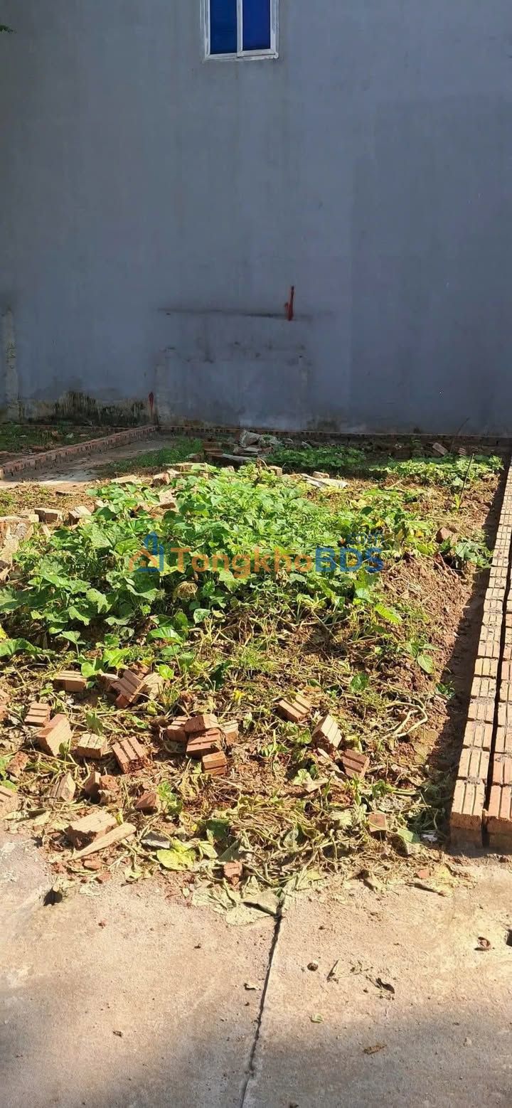 Đất Nền Song Liễu, Thuận Thành 50m² - Hơn 1 Tỷ, Vượng Phong Thủy