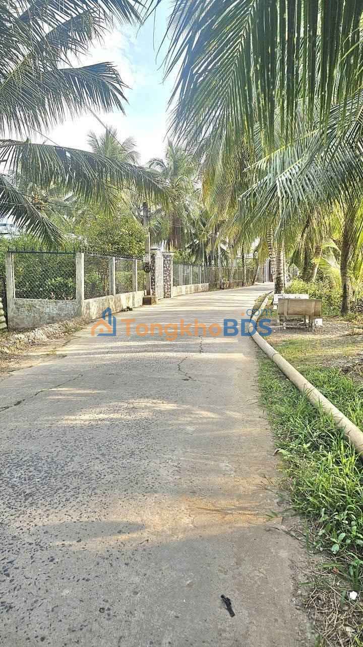 Bán Nền 115m² Lộ Ô Tô Phường Long Tuyền, Cần Thơ - Giá 990 Triệu